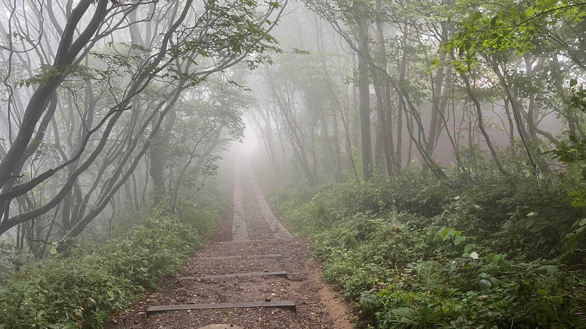 弥彦山-弥彦山ロープウェイ 縦走コースの写真