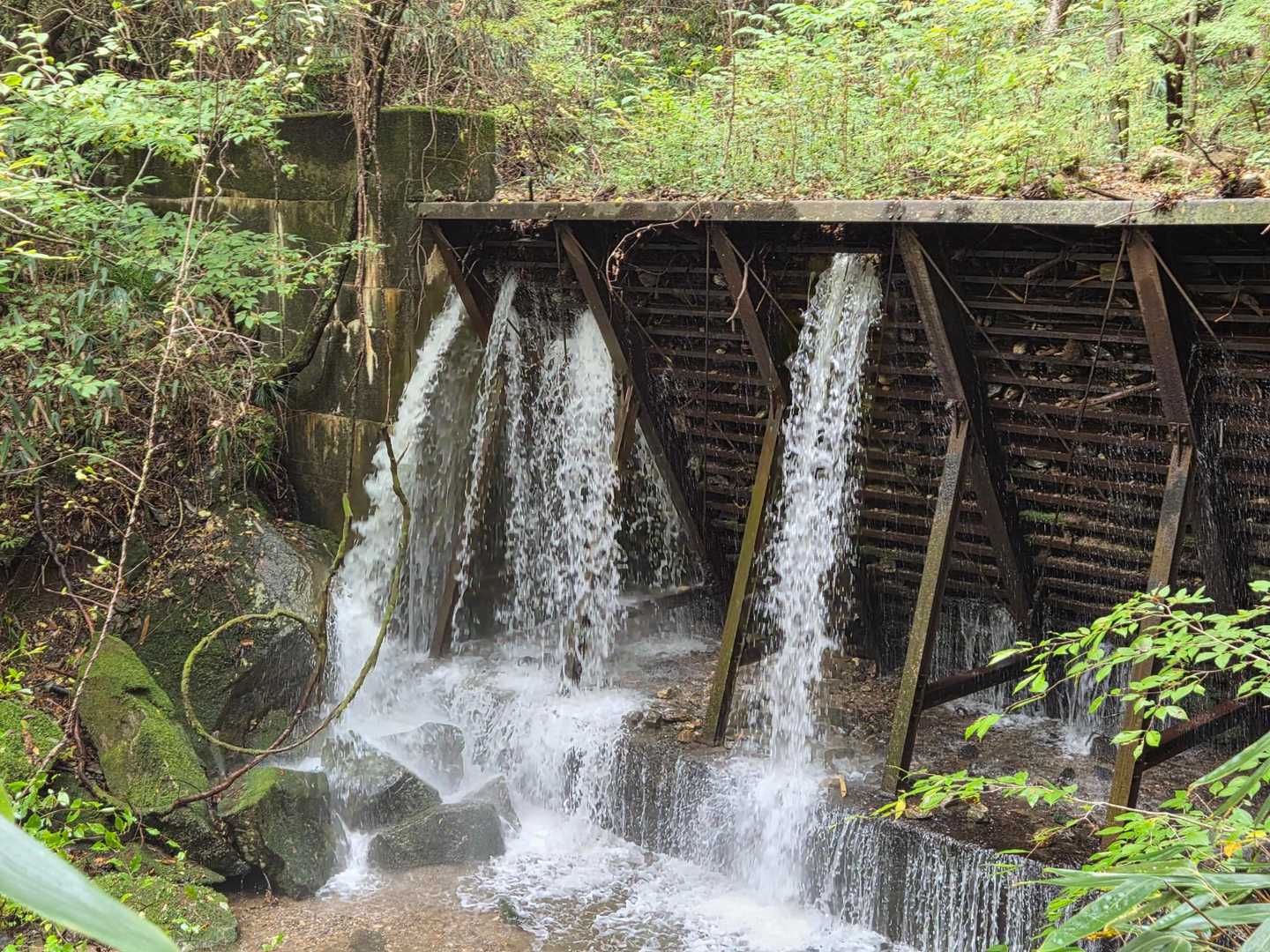 水量多し
水音を聞きながら進みます