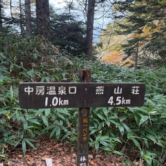 第一ベンチ到着。登山者さんで賑わっていました。