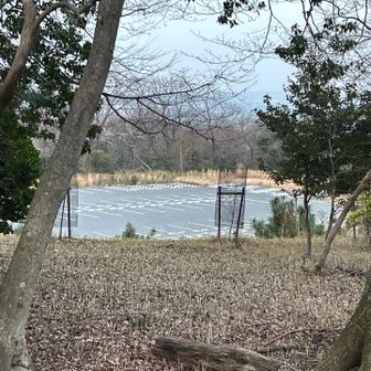 いいお山でした😊
日暮れまでに歩きに来れて良かったです