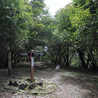 黒岳山頂と～ちゃくっ！
カメの歩みと思ったが、途中おやつ休憩を入れなんとかCTちょっと越え、くらいでたどり着いた。