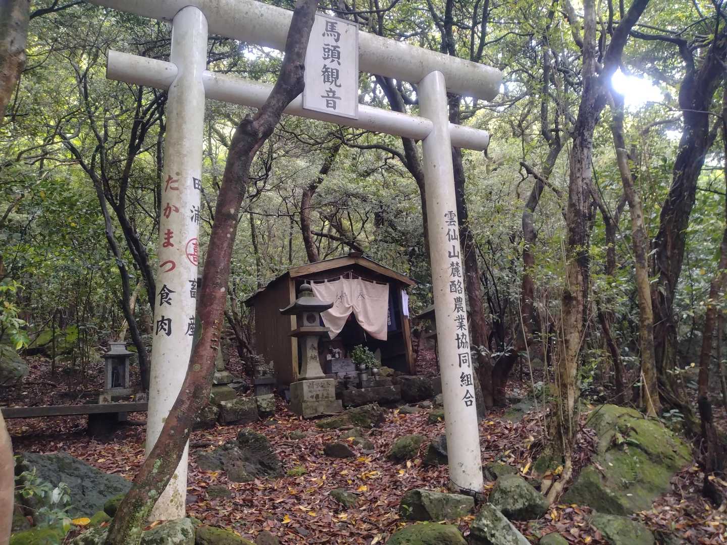 吾妻岳 往復コースの写真