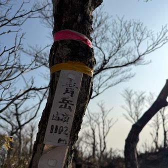 本日二つ目のピーク