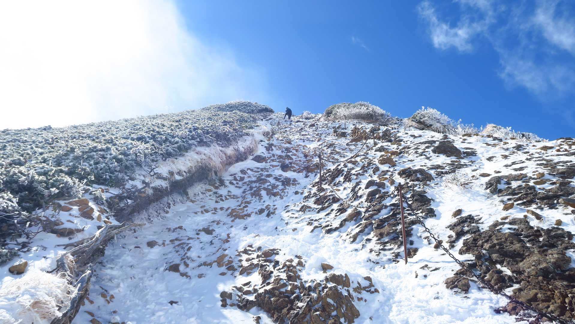 山頂までの直登