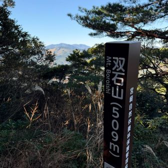 鰐塚山が見えますね✨✨