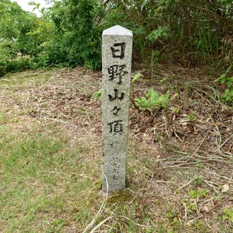 登頂⤴️