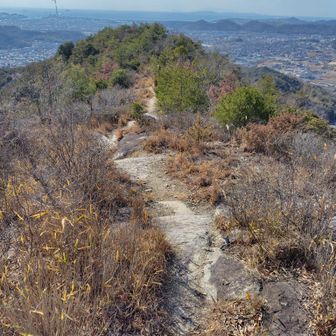 しっかりとしたルートのようで安心😌