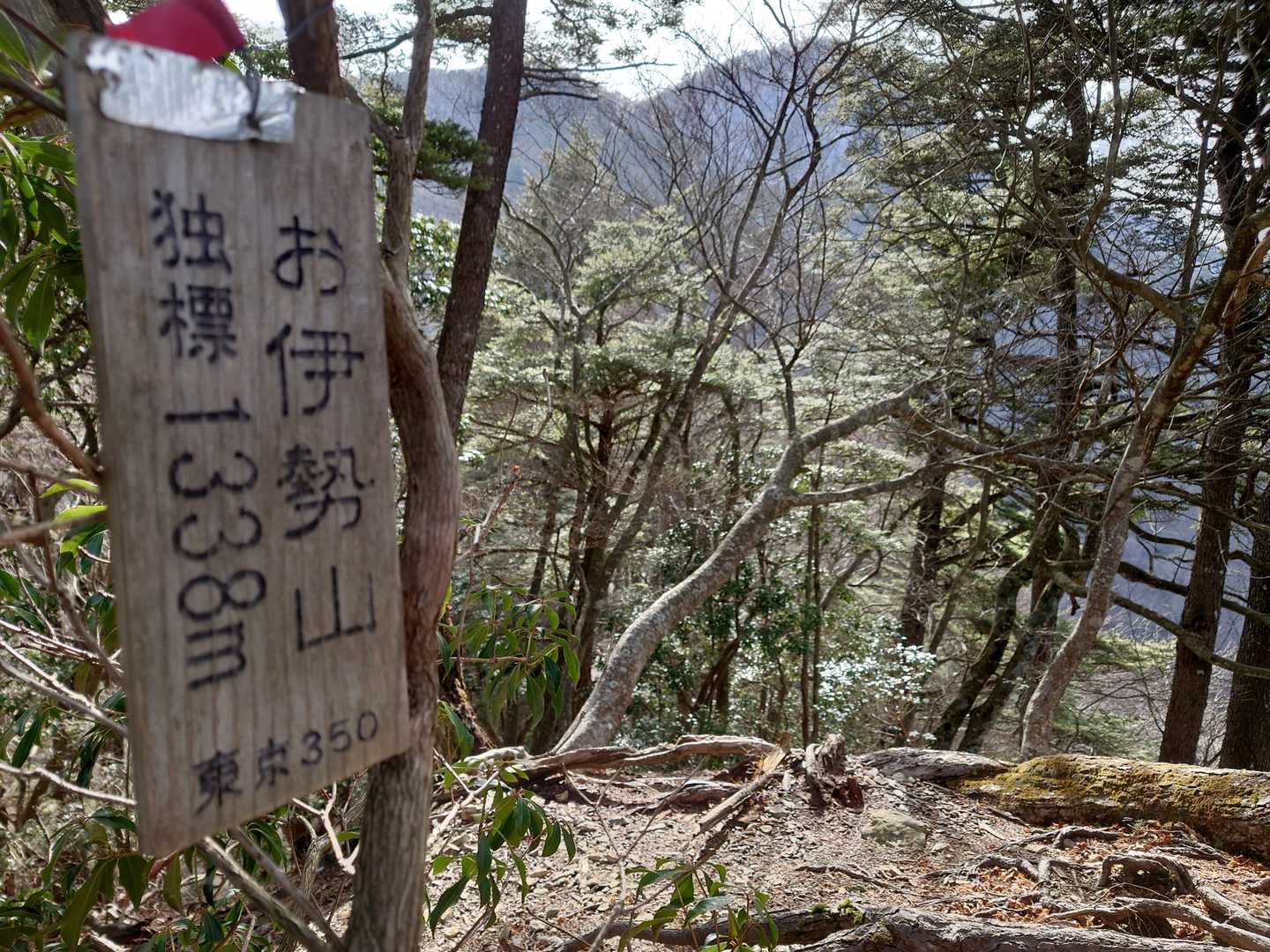 お伊勢山に（今度来るときはちゃんとヘルメット持ってこよう…）。