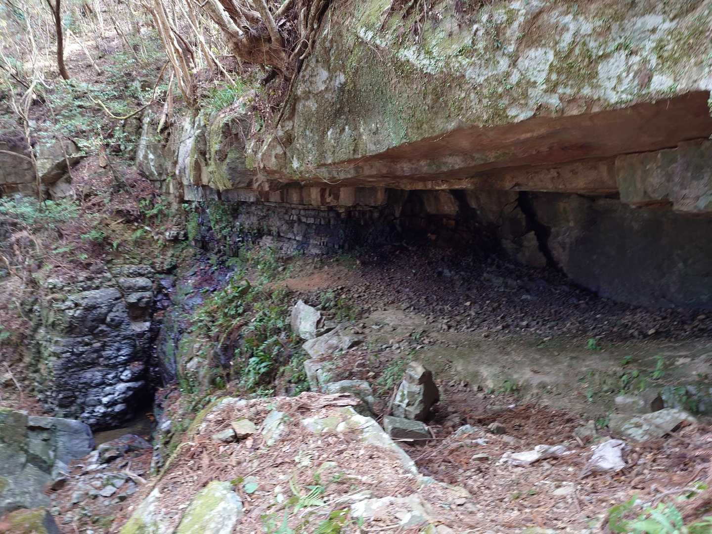 石鎚神社-清宝山-苔庭 往復コースの写真
