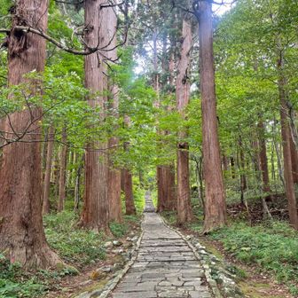 平坦なところは涼しくて気持ちよい✨