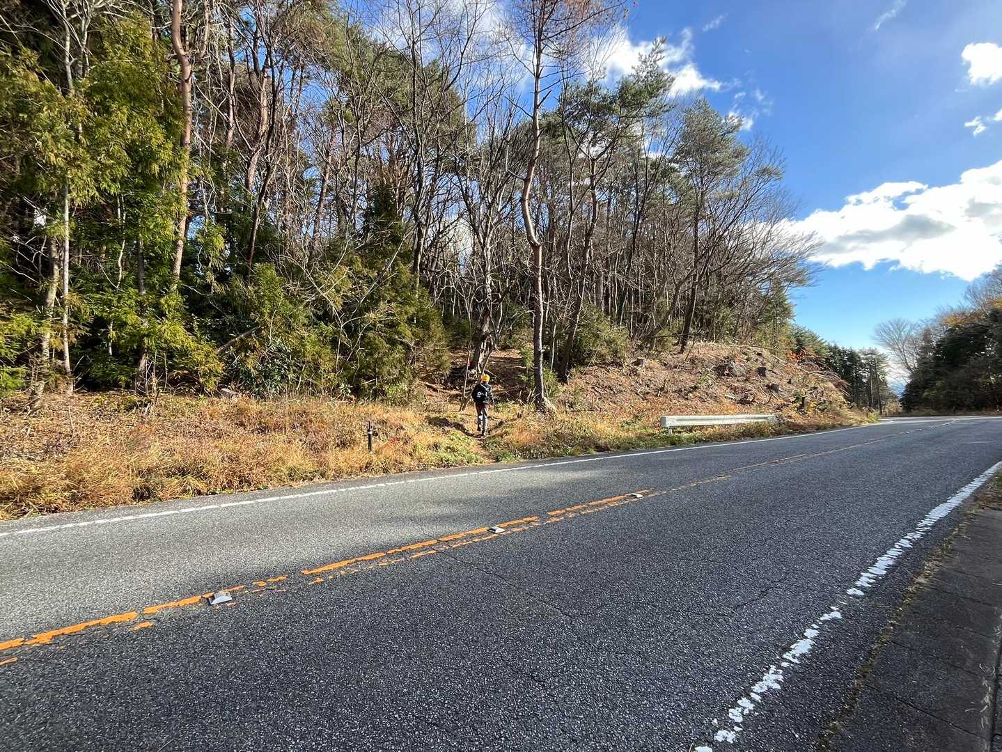 パノラマラインで頂上付近迄ドライブも可能🚗
道路渡って山道へ。