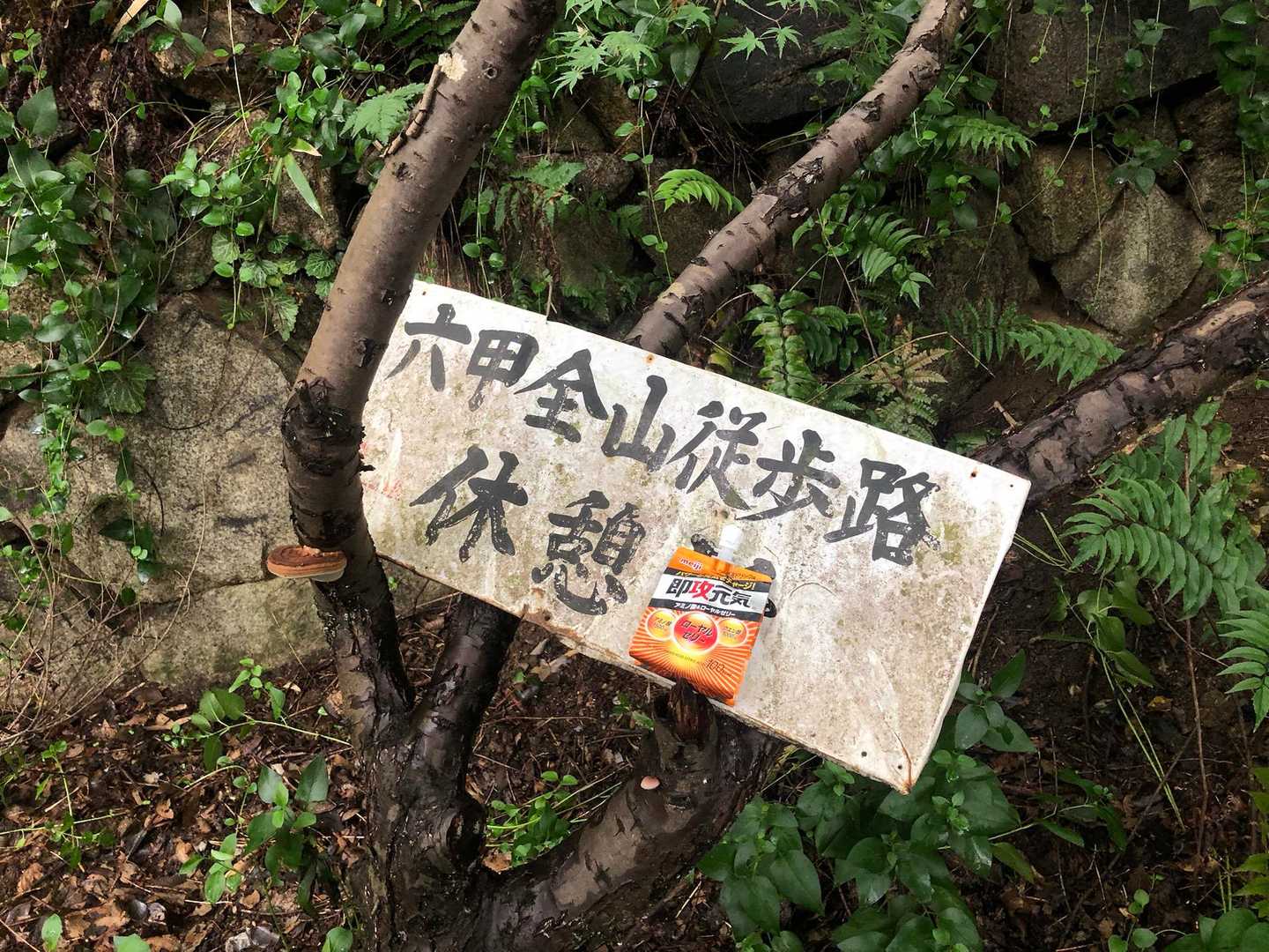 菊水下で即効元気をチャージ。