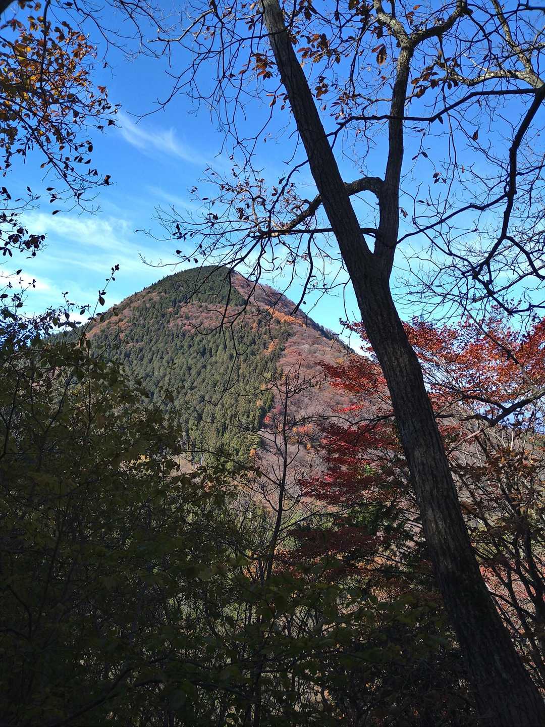西御荷鉾山南登山口-御荷鉾山-投石峠-東御荷鉾山 周回コースの写真