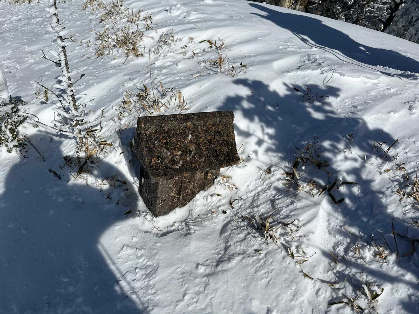 丸笹山 往復コースの写真