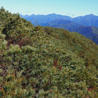 楽古岳から日高の十勝岳、野塚岳にかけて⛰️