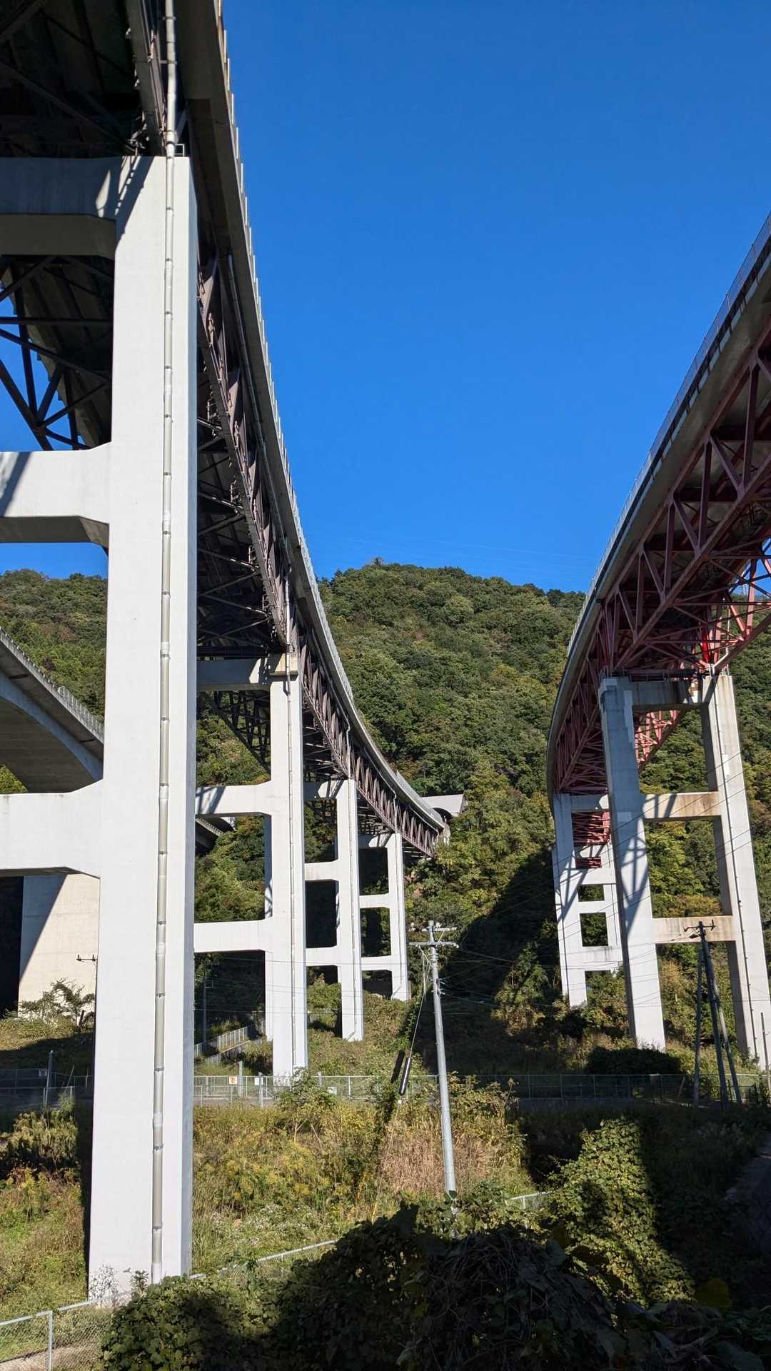 畑倉登山口-岩殿山-天神山-稚児落とし登り口-浅利公民館前 縦走コースの写真
