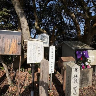 大福山の山頂は賑やかです