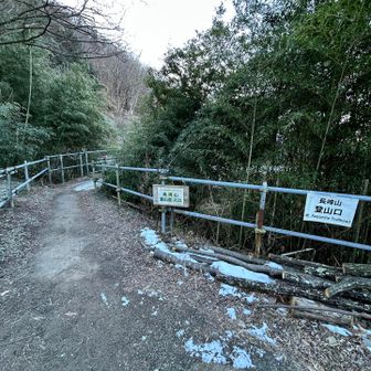 タイマー、時間合わせただけでセットし忘れ💦
1時間遅れのスタート