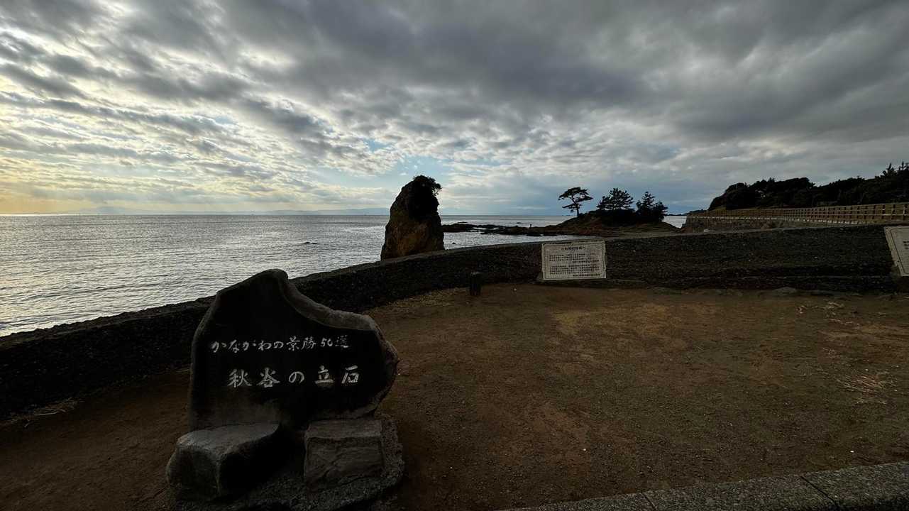 三浦富士・砲台山・武山・大楠山（大楠山・三浦富士ロングトレイル） の写真 50