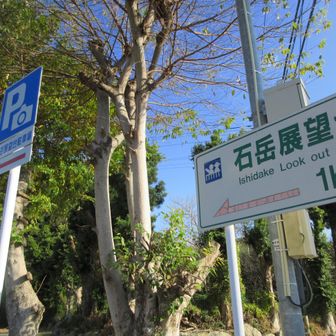 駐車場から1km！