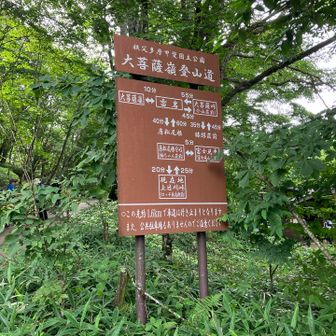 大菩薩峠を目指します