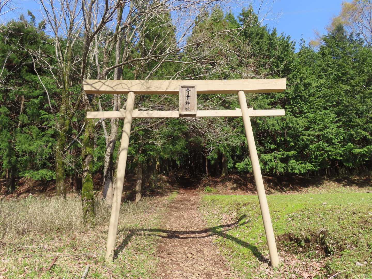 鳥居をくぐって