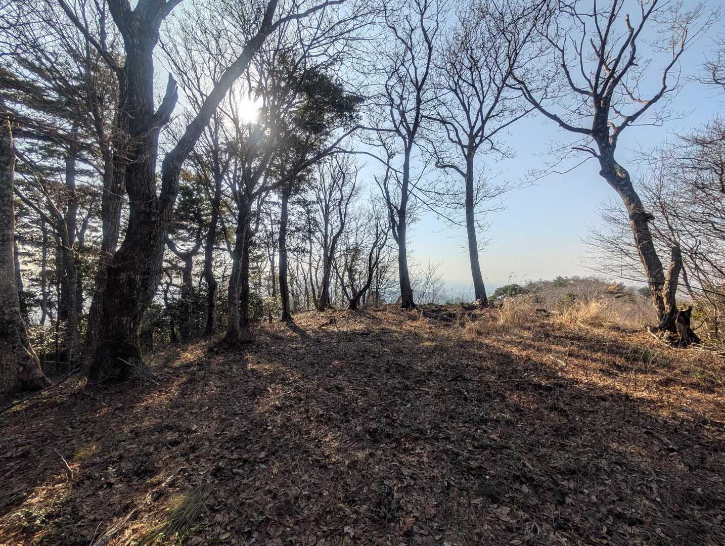 韮草山 展望地