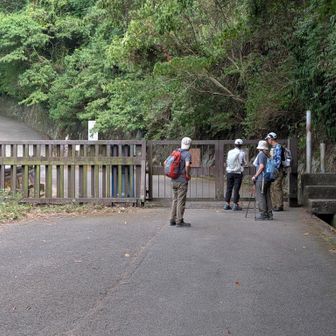 府民の森　なるかわ園地に入りました