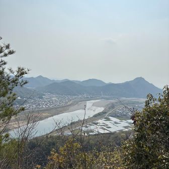 長良川の存在感大🤩