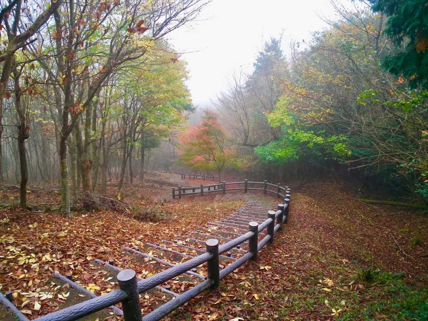 どうにか雨☔にも合わずに...