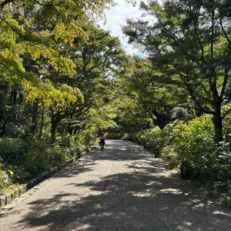 休憩･給水はせずに進みます。