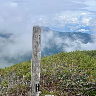 標識無くなってますが小檜尾岳⛰️