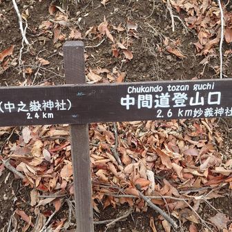 中間道を進みます