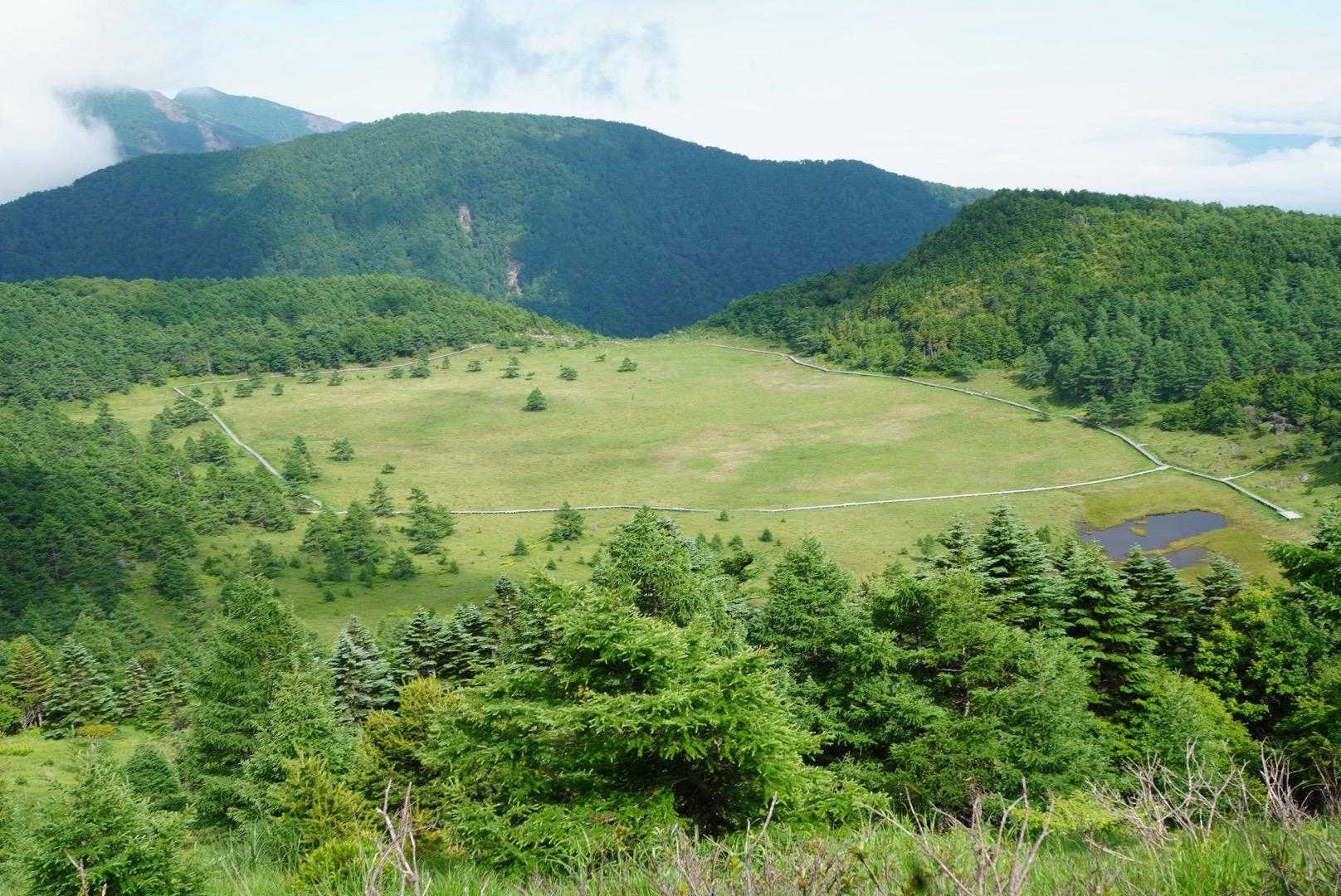 池の平の全容。湿原はもう復活しないのでしょうか。