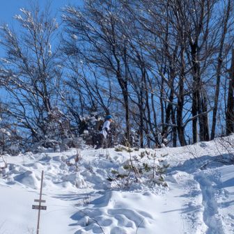 山頂に近づく登山者1人見かける。