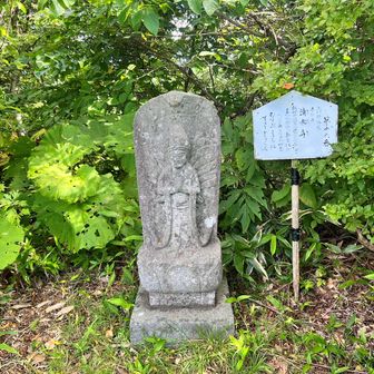 こちらは16番。