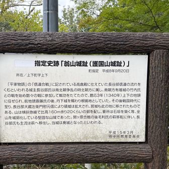 説明