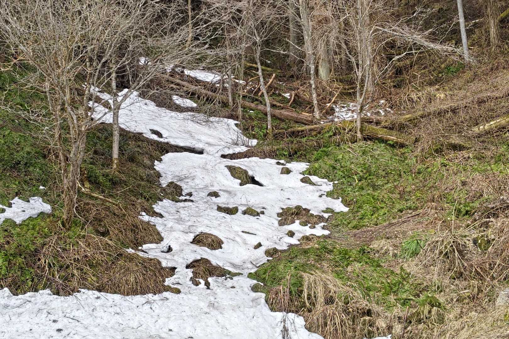 まだ所々に残雪がありました⛄