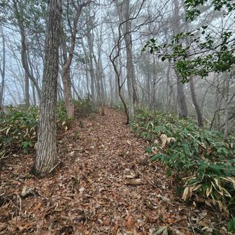 山頂まであと僅か。