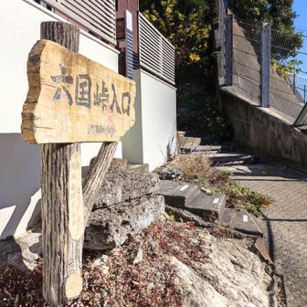 目茶苦茶端折りましたが、能見堂ハイキングコース終了しました。