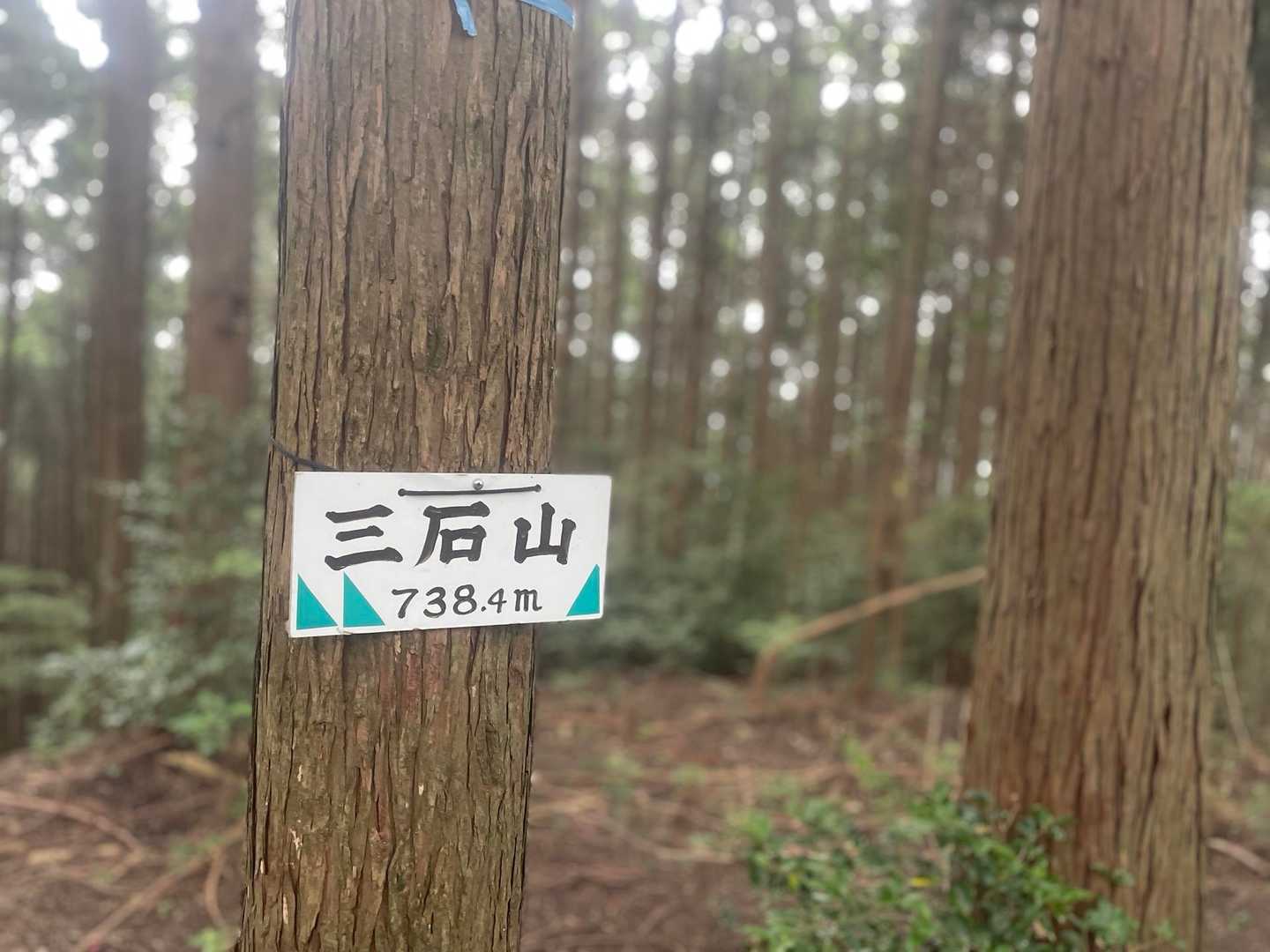 三石山登山口-三石山 往復コースの写真