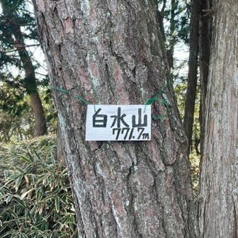 長いこと登り、途中から笹漕ぎを続けていくと…ようやく白水山の山頂に到着⛰️