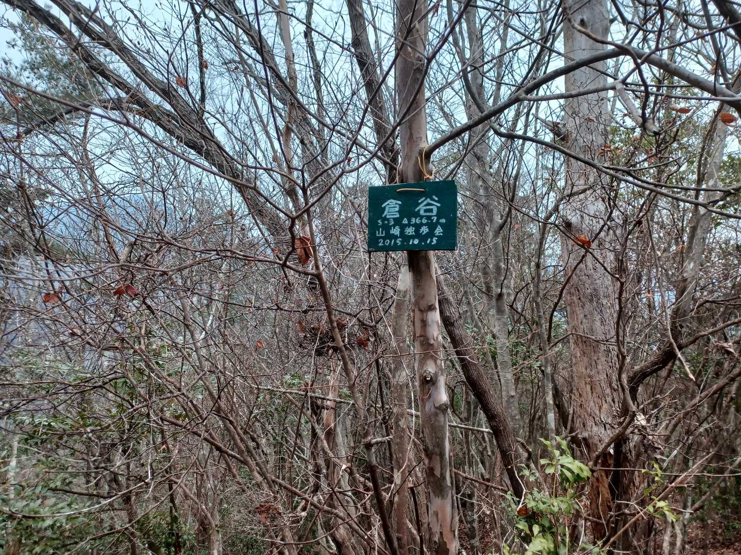 倉谷山（兵庫県）の写真