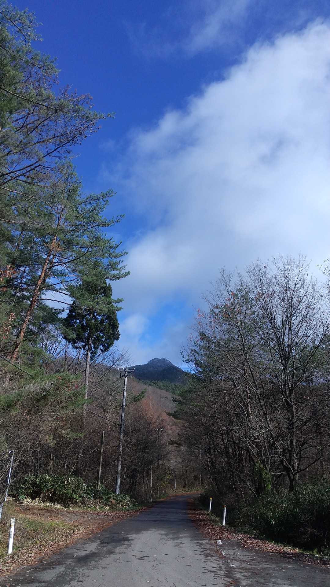 たぶんあれが砥森山南峰⛰️