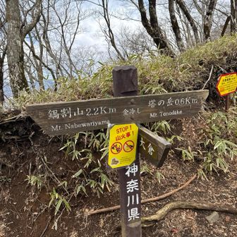 イカす丹沢天国⛰️

金冷し💰
金を冷やしてもろくなことにならないです笑笑。