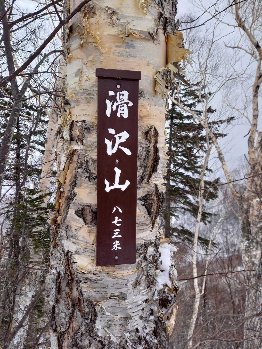 なんとかここまでワンピーク　💪