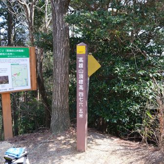 高雄山山頂に着いた。ここで山仲間の女性二人と運命の出会いをする。どちらもびっくり！