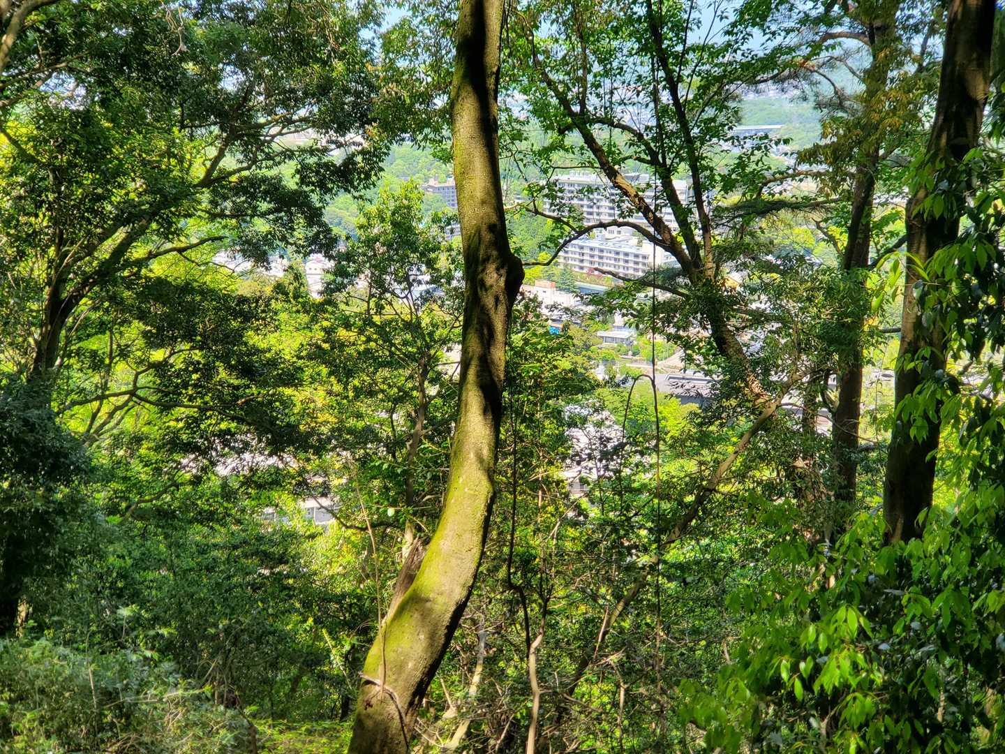 有馬温泉の街並みが見えてきました✨