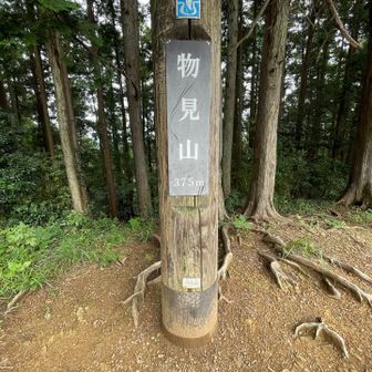 物見山で休憩