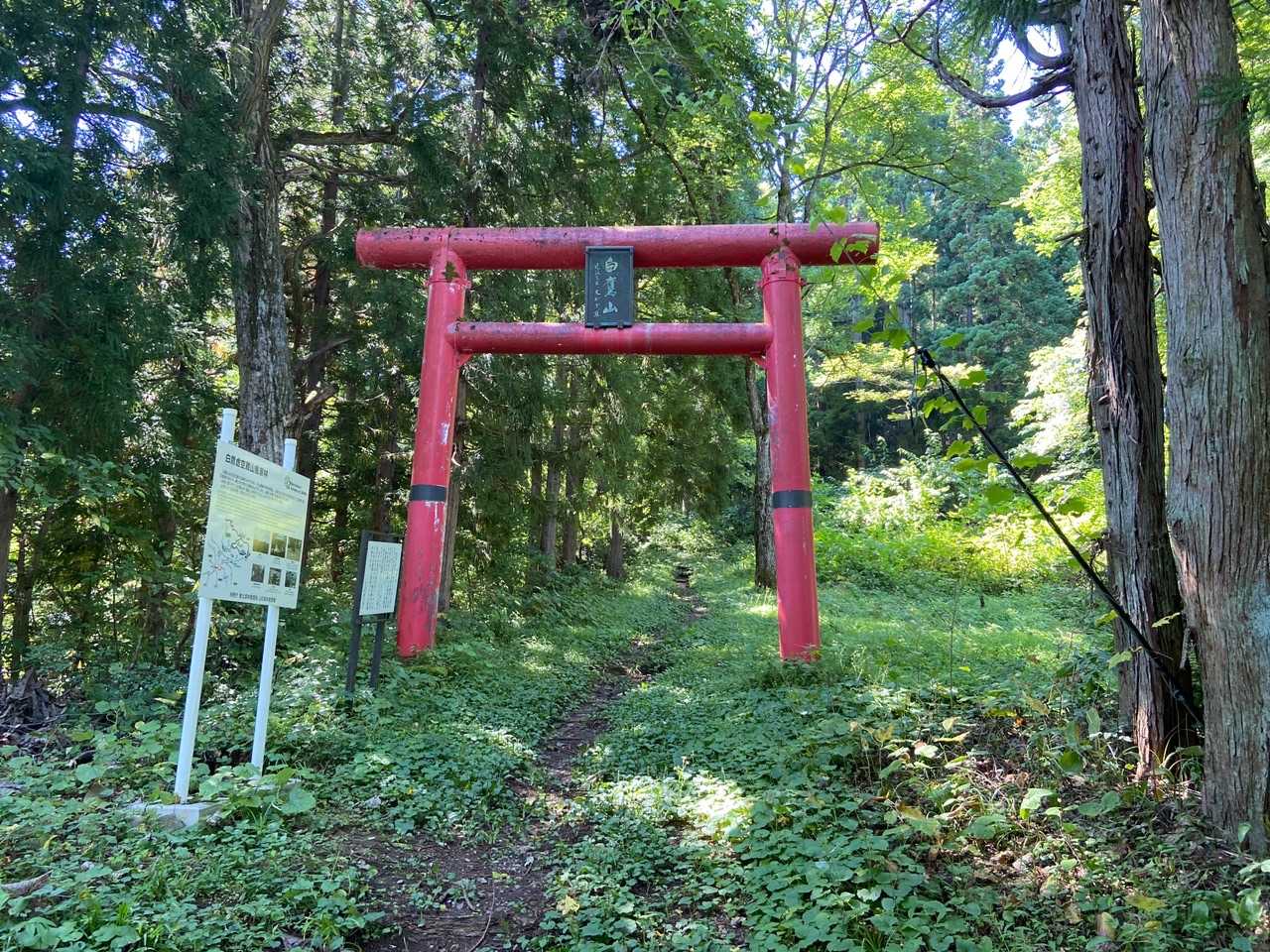 よしスタート🚶‍♀️